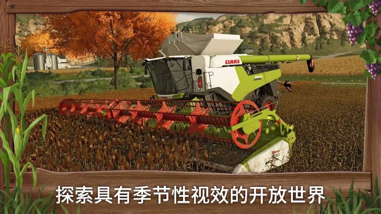 1743221647930.jpg
